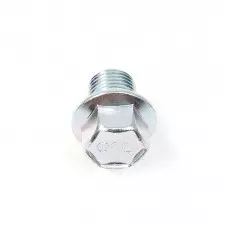Oil Fill Plug - DSM
