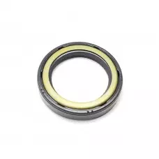 Input Seal - DSM