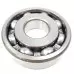 Input Shaft Bearing Bottom - EVO 6-Speed