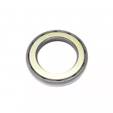 Input Oil Seal - EVO X