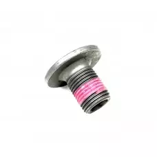 Input Shaft Bearing Retaining Nut - Focus RS / ST