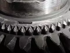 d2